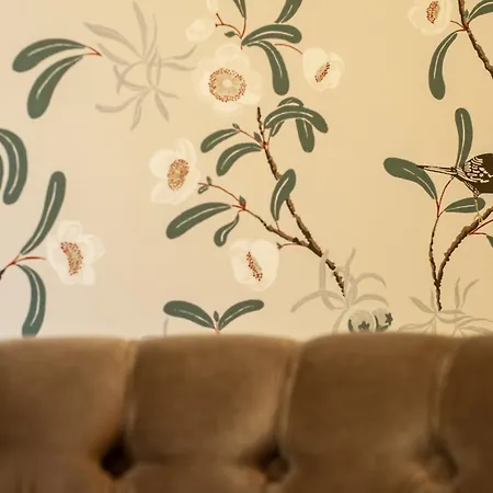 In 't Stille Weg Couette-café Kemmel